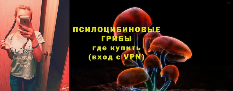 купить   Солигалич  Псилоцибиновые грибы Magic Shrooms 